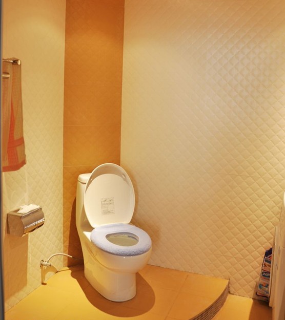 坐便器安裝細節