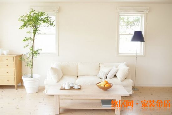 室內盆栽要擺對位置