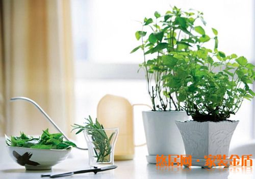 春季裝修不得不說的事 