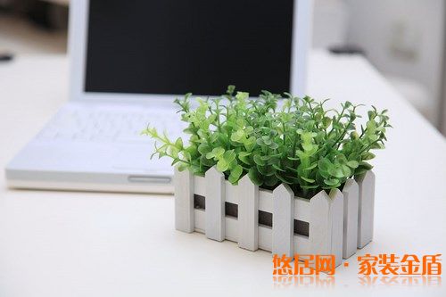 室內盆栽選擇有哪些講究？ 